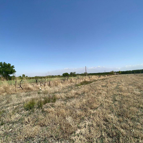 Venta | Terreno | Vista Flores | Tunuyán | Valle De Uco | 2.178 M2