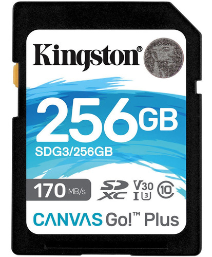 Tarjeta De Memoria Kingston Sd 256gb Canvas Go! Plus