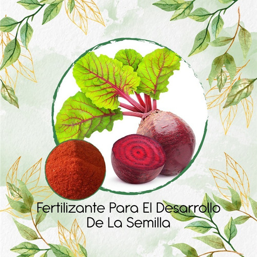 Fertilizante Para El Desarrollo De Remolacha