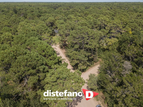 Terreno En Venta En Carilo