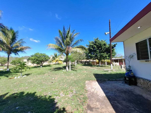 Venta Amplio Terreno De 6000 M2 Tahdzibichen, Merida, Yucatan.