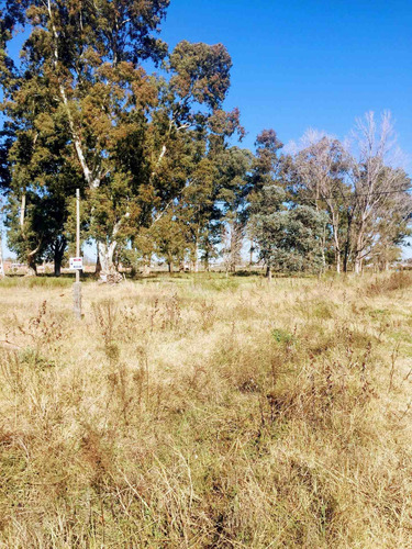 Imagen 8 de 12 de Venta De Lote De Terreno En Brandsen