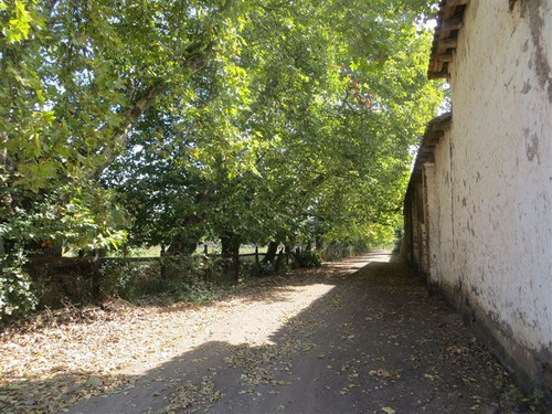 Agrícola En Venta En San Clemente