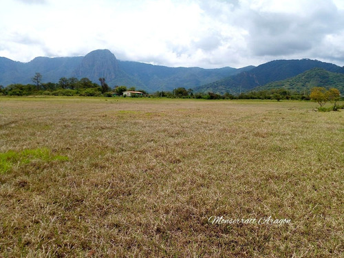 Increíble Terreno Con Manantial