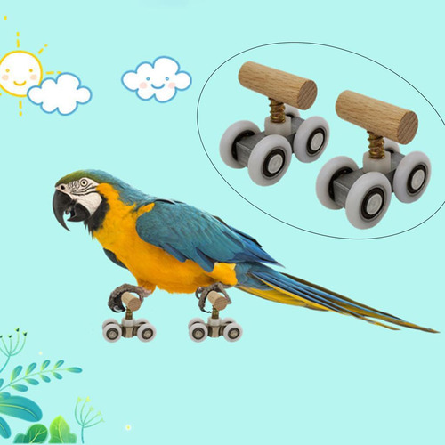 Parque De Juegos Loro Mini Patines Juguetes Pájaro