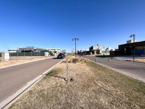 Imagen 4 de 11 de Venta Lote Barrio Aire Malbec Maipu