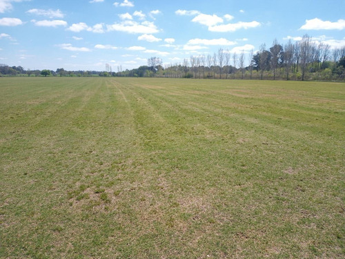 Imagen 14 de 30 de Campo En Venta Zona Polo, Pilar, Con 2 Canchas De Polo Y Varias Mejoras