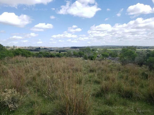 Imagen 8 de 15 de Campo Ganadero En San Jose De 126 Ha, Sierra De Mahoma, Ganadero