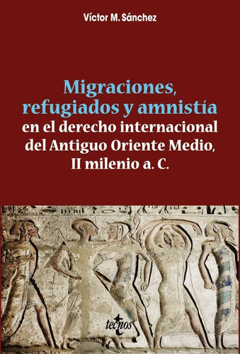 Libro Migraciones, Refugiados Y Amnistia En El Derecho In...