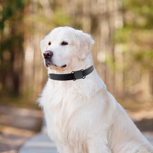 Collar De Seguimiento De Mascotas Dispositivo Antipérdida In