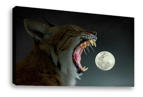 Cuadro Decorativo Canvas Moderno Lince Luna