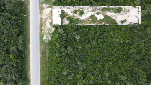 Venta De Terreno En Tulum, Quintana Roo. (2,500 M²)