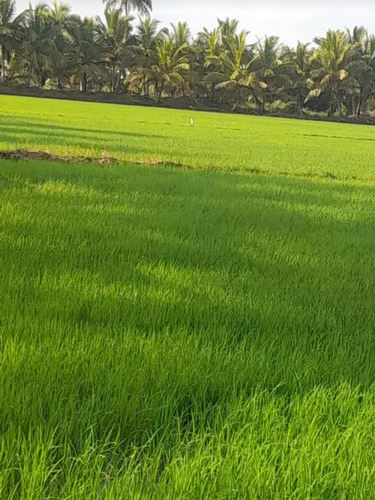Vendo Finca, En Dajabón, Varias.