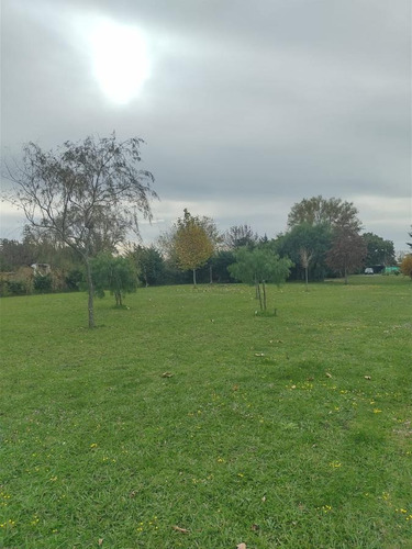 Imagen 14 de 16 de Chacra - Gualeguay