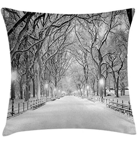 Ambesonne Winter Throw Pillow Funda De Cojín, Vista De Centr