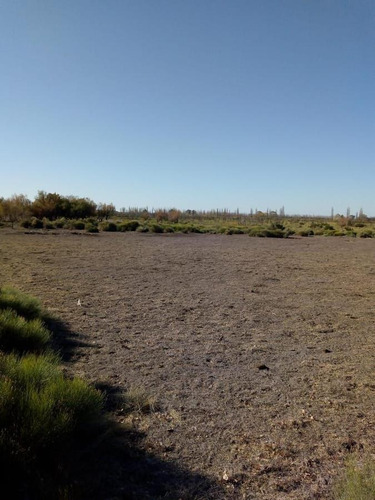 Imagen 24 de 26 de Venta Campo 103 Ha General Alvear