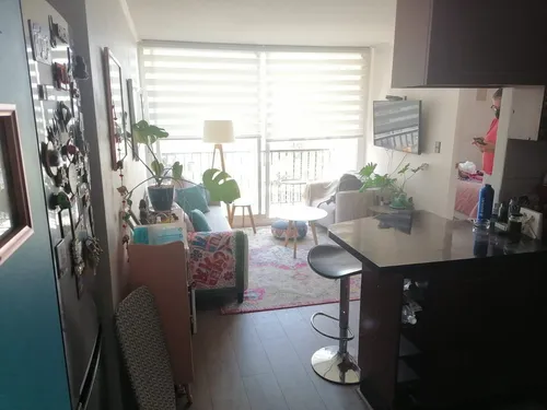 Lindo Y Cómodo Departamento Cercano A Plaza Vespucio, La Flo