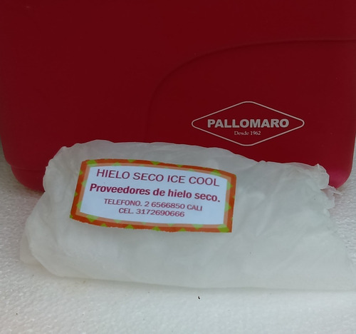Bolsas De Hielo Seco. Ice Cool. Dry Ice