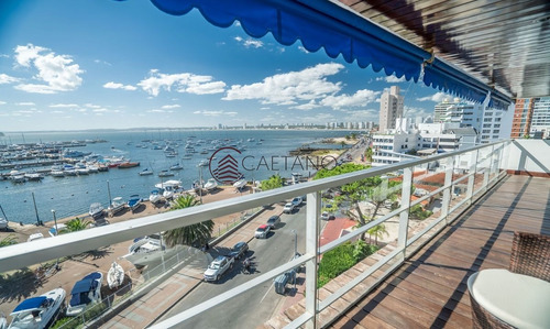 Imagen 5 de 15 de Puerto De Punta Del Este - Hermoso Apto Para Disfrutar - Punta Del Este Peninsula