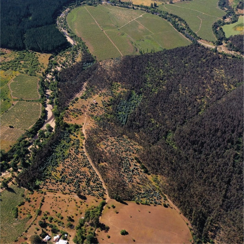 Imagen 3 de 11 de Parcelas En Ninhue , Ñuble, Chillán