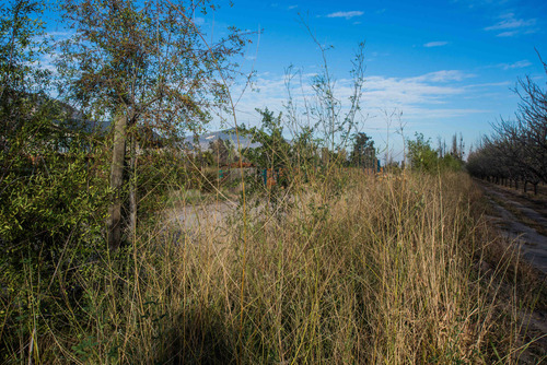 Terreno En San Juan De Pirque