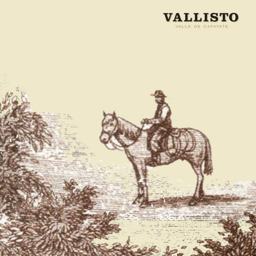 Imagen 4 de 10 de Vino Vallisto Malbec 750ml. - Envíos