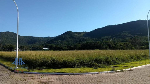Terreno À Venda, 400 M² Por R$ 500.000,00 - Ratones - Florianópolis/sc - Te0115