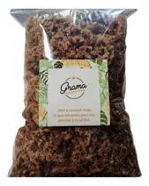 Comprar Musgo Sphagnum Premium Hebras 5 Dm3