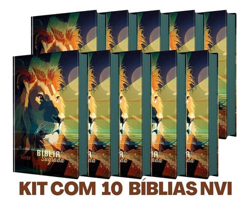 Box Com 10 Unidades Bíblia Sagrada Nvi Diversas Capas