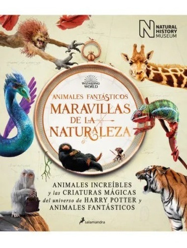 Libro Animales Fantásticos : Maravillas De La Naturaleza