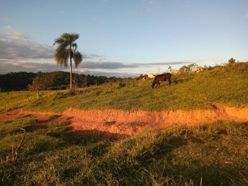 Imagem 7 de 8 de 06- Lotes De 2.500m² Em Santa Isabel Apenas 99.900 Esse Final De Semana