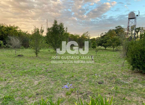 Imagen 10 de 14 de 2.1 Has - Atalaya, Buenos Aires