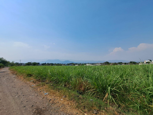 Terreno En Venta En Cocoyoc