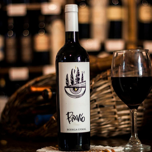 Bravío Vino Malbec X6u 750ml Esmeralda Mendoza