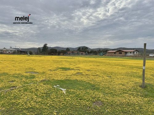 Venta Terreno En Los Laureles, Limache