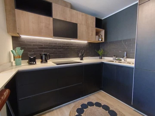Arriendo Departamento Amoblado Exclusivo Sector Providencia