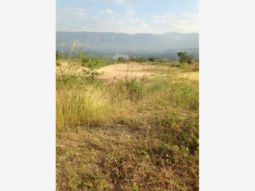 Imagen 2 de 4 de Terreno En Venta Rivera Cupia