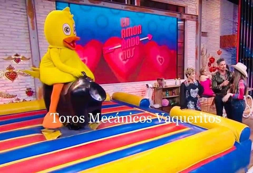 Imagen 4 de 5 de Renta De Los Mejores Toros Mecanicos Cdmx