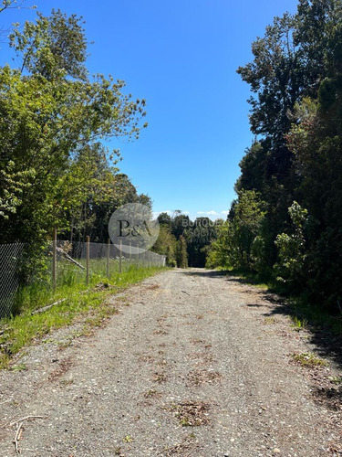 22339 - Parcela En Fundo El Arrayán