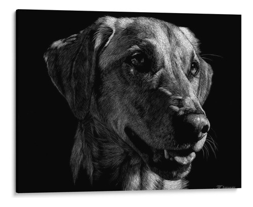 Canvas Lab Cuadro Scratco Canino Xxiv 60x45