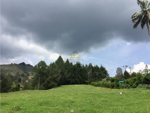 Venta Lote En Rionegro Sobre La Vía, Independiente, Mixto, Cerca Aeropuerto