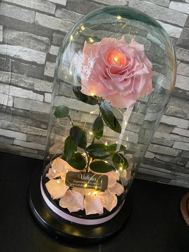 Rosa Eterna Jumbo (42x22 Cm) Con Luz Y Placa