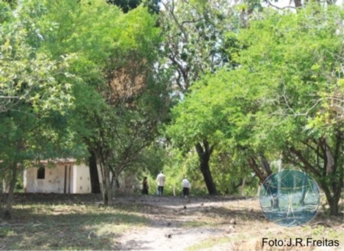 Imagem 5 de 9 de 3.8 Hectares Em Zona Urbana De Parnamirim - V-7555