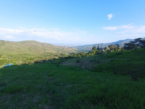 Venta Lote N°6 En Parcelación Campestre Dapa