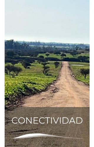 Excelente!! Parcelas De 5.000 M2 Con Rol Propio En "lom