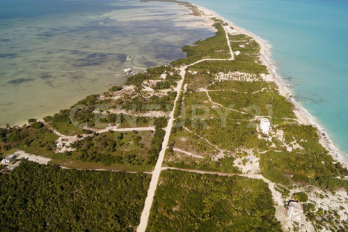 Imagen 9 de 22 de Terreno Con Hermosa Playa Para Desarrolladores En Isla Blanca Cancún C2509