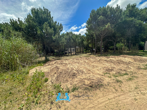 Venta Oportunidad Lote - 1354 Metros - Costa Esmeralda Barrio Residencial 1