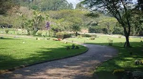 Jazigo Com 3 Gavetas No Cemiterio Do Morumbi