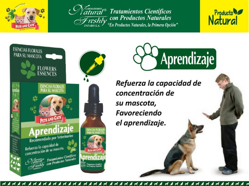 Esencias Florales Para Mascotas Equilibra Su Comportamiento