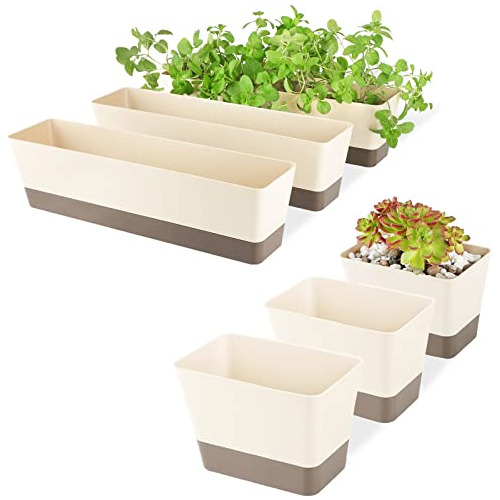 Macetero De Caja De Ventana, 6x3.8 Pulgadas/12x3.8 PuLG...